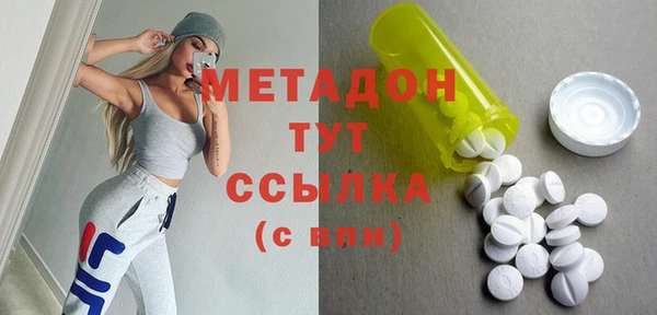 индика Горнозаводск