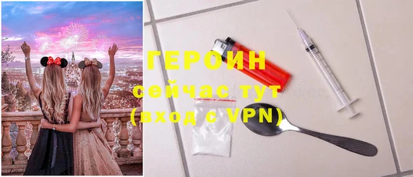 индика Горнозаводск