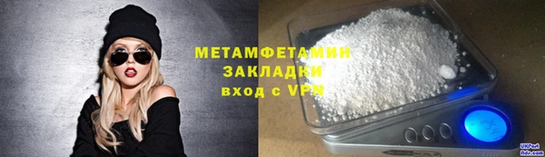 прущие грибы Вяземский