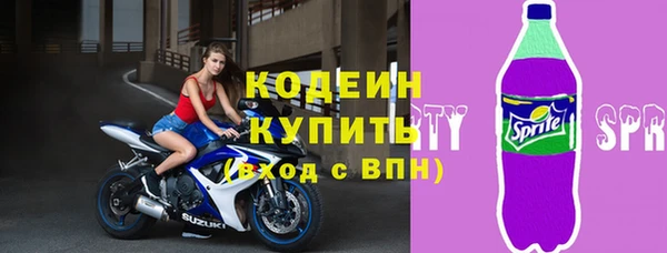 индика Горнозаводск