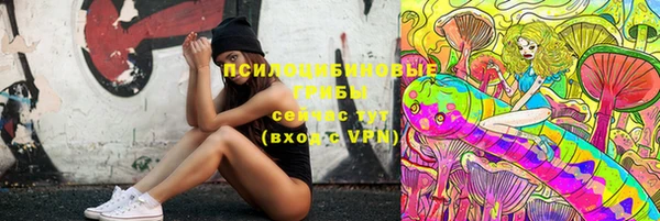 прущие грибы Вяземский