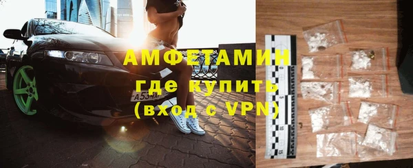 прущие грибы Вяземский